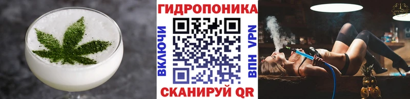 где можно купить   Кохма  Печенье с ТГК марихуана 