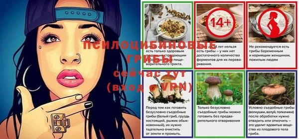 apvp Кулебаки