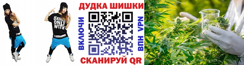 Бошки марихуана сатива  Кохма 